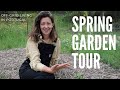 Spring garden tour - What we have planted so far - Off-grid living in Central Portugal