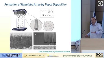 From Biological Self-Assembly to Organic Nanostructures of Unique Chemical and Physical Properties