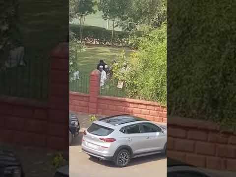 Namaz being offered at Vastrapur Lake, Ahmedabad