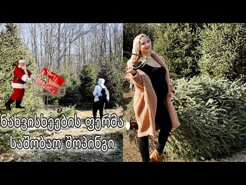 ნაძვის ხეების ფერმა | საახალწლო შოპინგი | ვლოგი | ellene pei