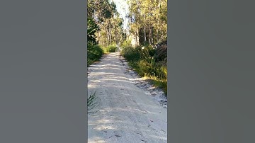 Thumbnail of 04/06/2021 Part 55 Paisajes / Landscapes / пейзажи / Nature (Music: ‎‎‎@MsRasTony  )