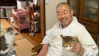 ㊗️8万人突破！　　にゃんこはお返事出来るかな？
