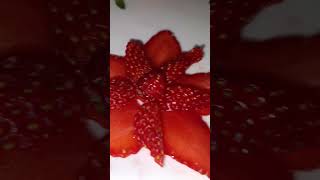 Flowers and animals made from berries flowers  viral vegetables fypシ youtube youtubeshorts