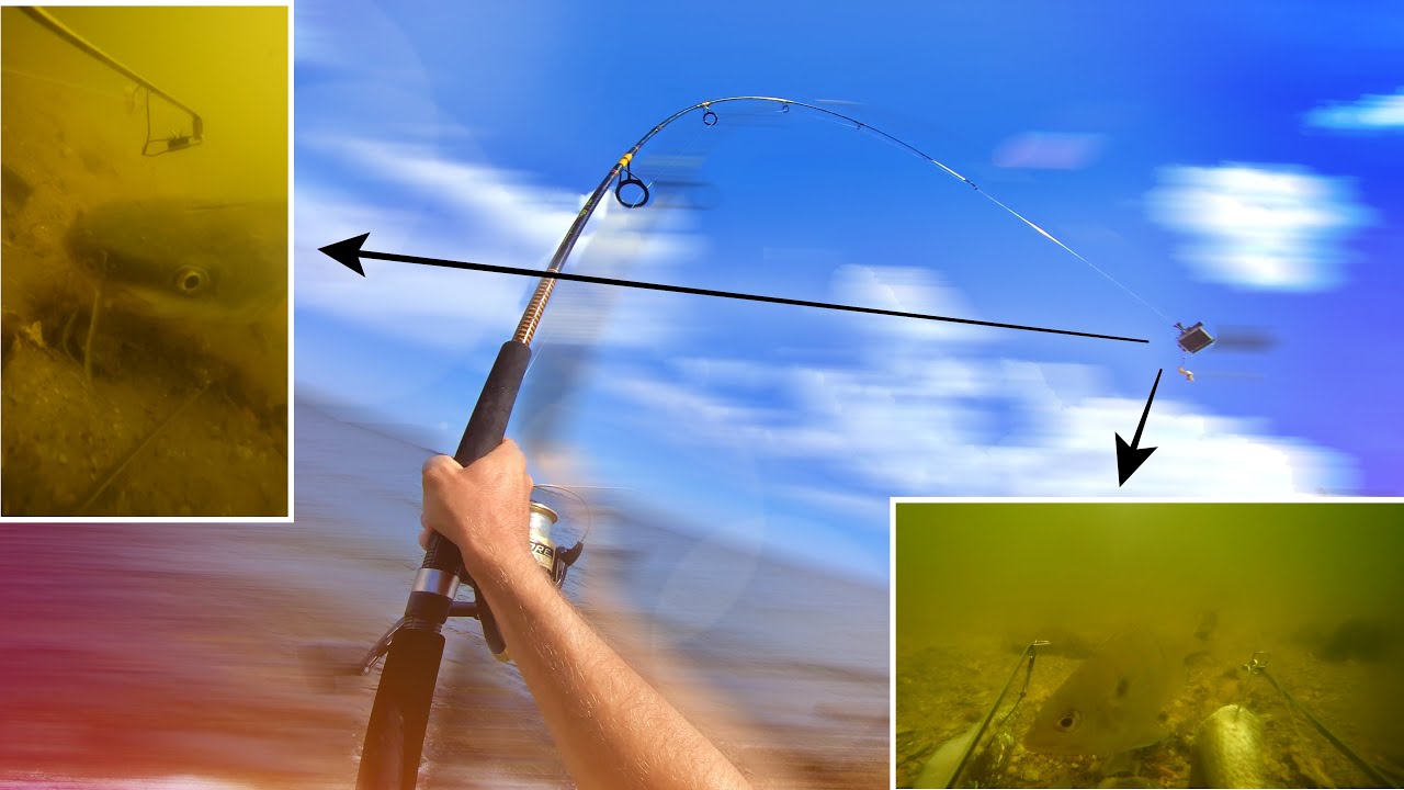 Finding out what Keeps Stealing my Bait (Saltwater Fishing in Tampa) YouTube