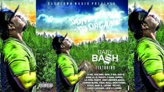 Celebrity Baby Bash - Solid (feat. SPM & C-Kan) Wealth