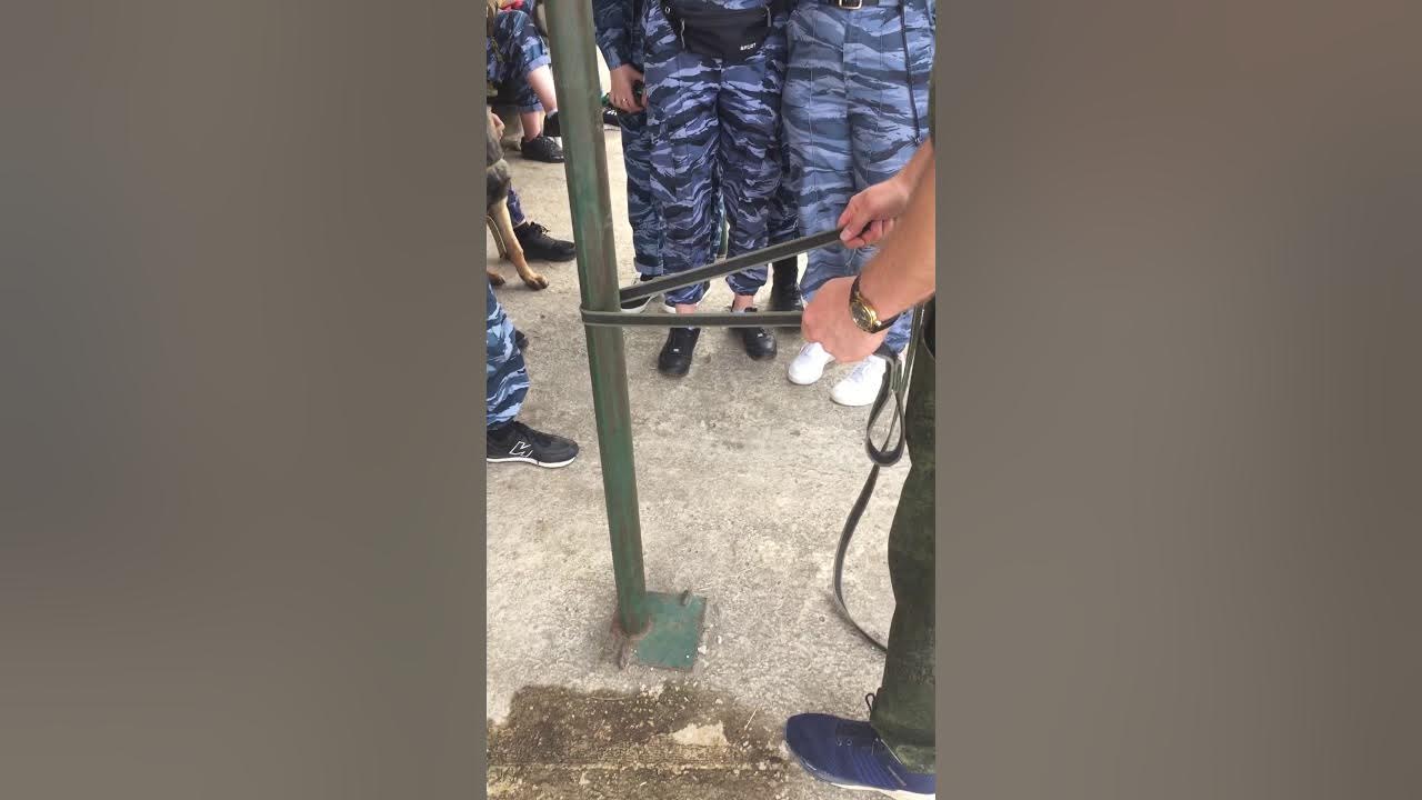Как правильно привязать собаку. - YouTube