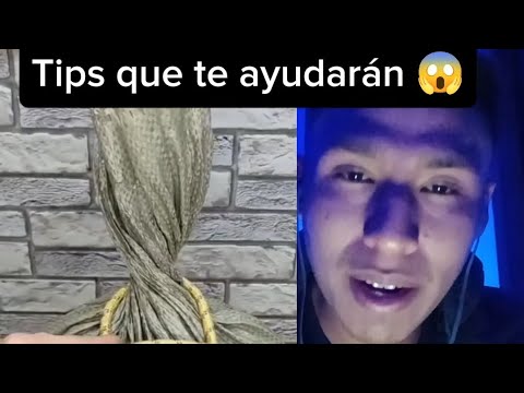 Necesitas saber esto