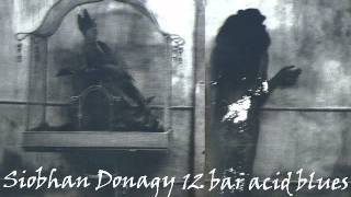 Video thumbnail of "Siobhan Donaghy - 12 Bar Acid Blues"