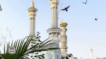 دعاء الليلة الرابعة| رمضان ١٤٤٥ للقارئ عبدالرحمن الماجد.