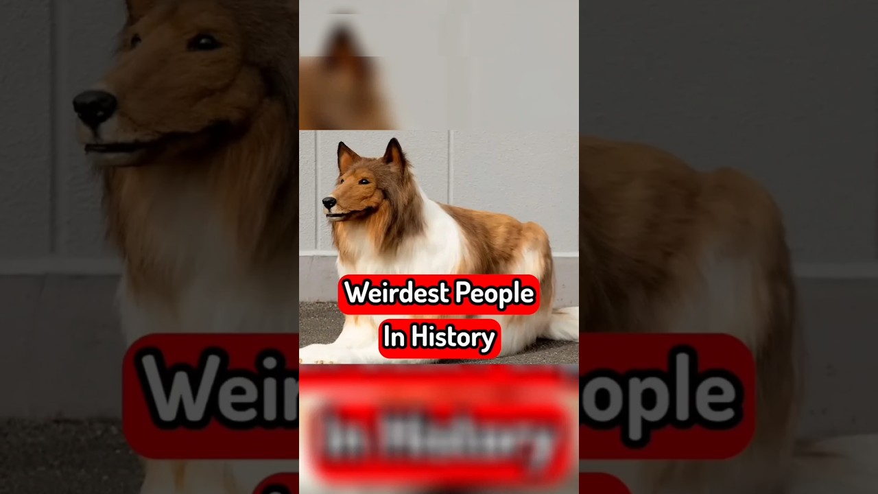 Weirdest People Ever In History #faiosys #facts #weirdest #video #viral #History #ai
