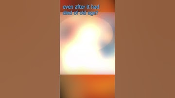 How may entropy may be decreased #asimov #lastquestion #scifi