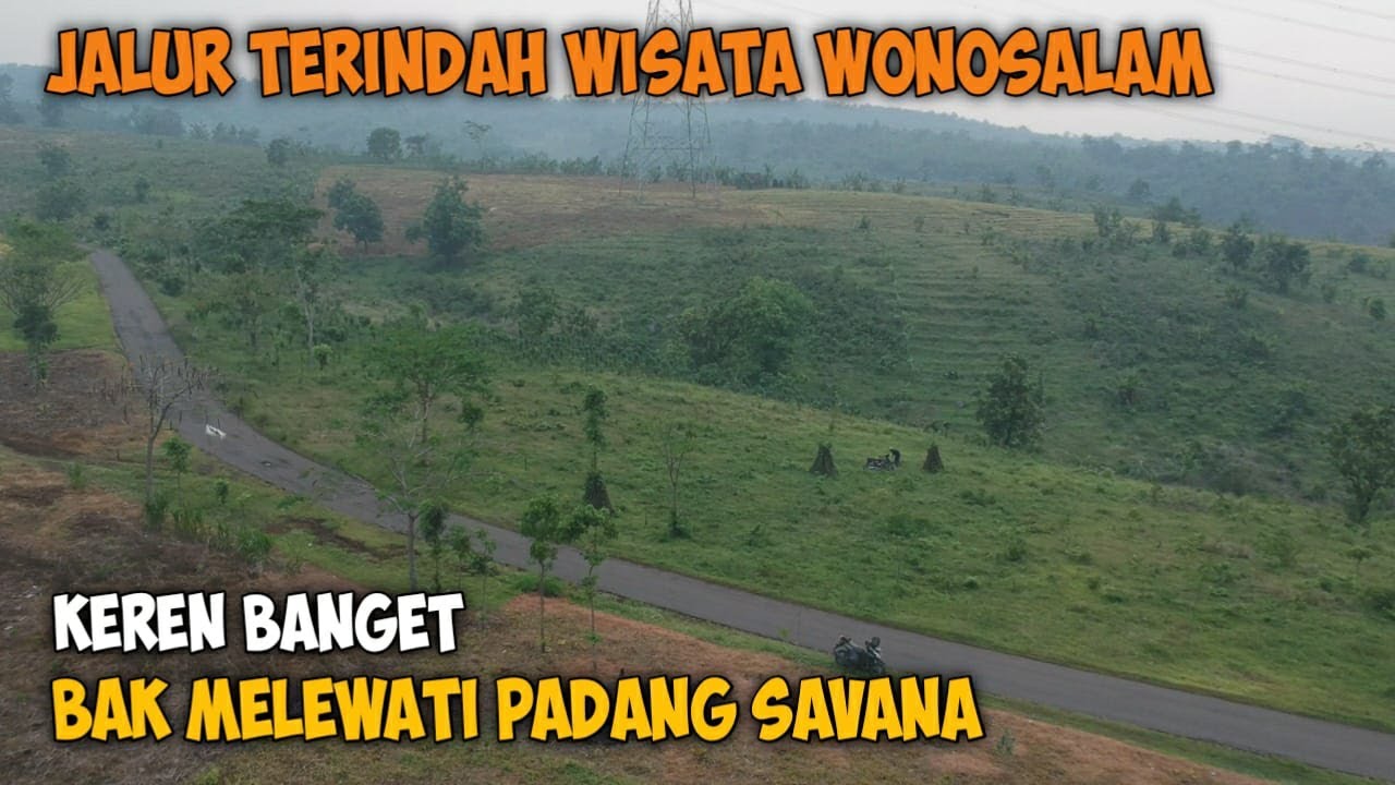 Jalur Terindah Ke Kawasan Wisata Wonosalam Jombang