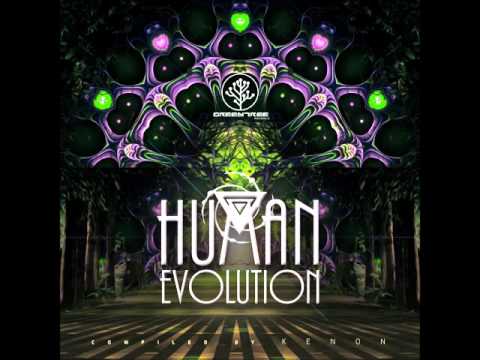 LUCID MANTRA - Quantum Levitation