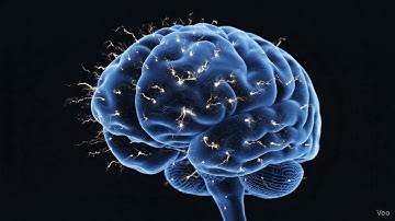 Your Brain Will Decide Before This Video Ends