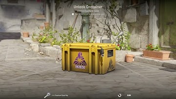 OPENING CASES CS2. DAY 88. FRACTURE CASE.