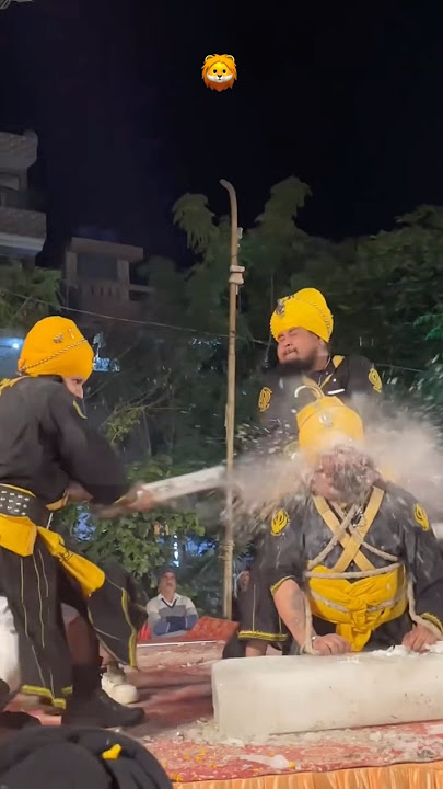 Punjabi nagar kirtan 🦁 #nagarkirtan #shortsfeed #punjabi #youtubeshorts #shorts #trending #new #yt