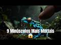 Menor que Unha = Pode Matar Você