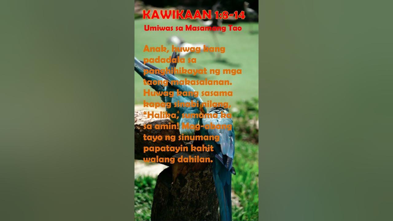 kawikaan-1-8-14-audio-text-scripture-bible-proverbs-youtube