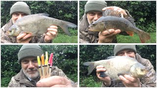 🎣 An enjoyable canal angling session and do you want a float? by Stewart Bloor 67 views 1 day ago 5 minutes, 12 seconds