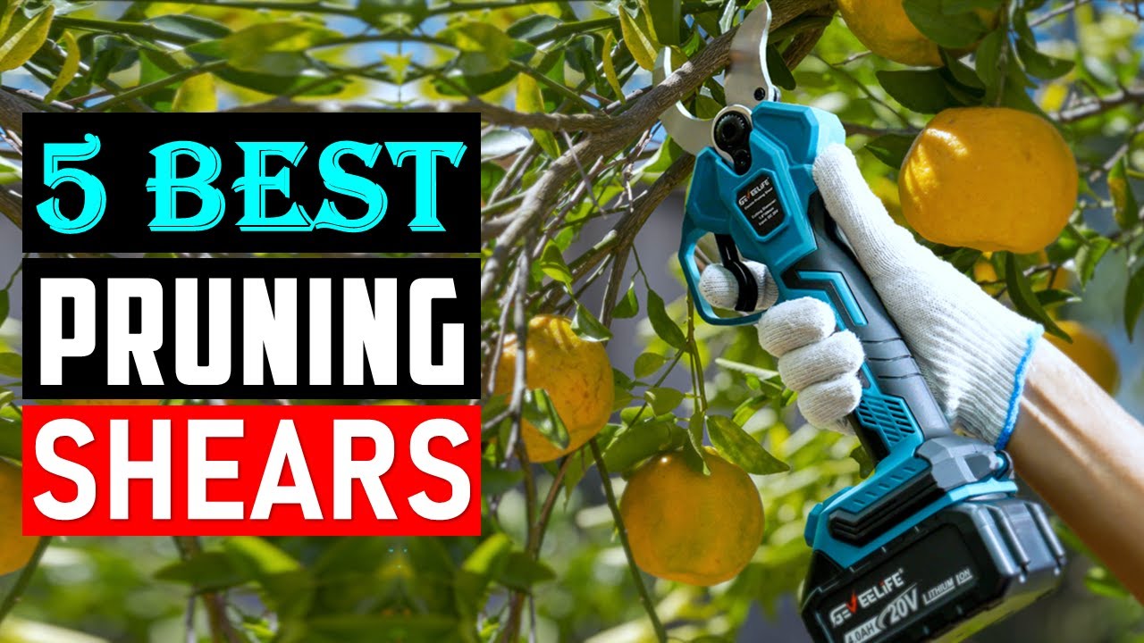 Best Pruning Shears 2026 | Top 5 Best Electric Pruners Review - YouTube