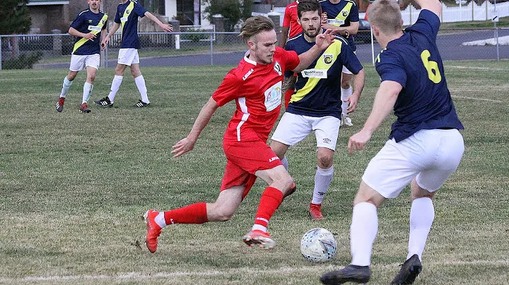 Sheldon Tweedie 2019 Highlights
