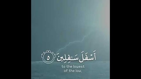 حالات مسائية/  قران كريم بصوت خاشع /أرح مسمعك