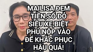 Download Lagu NÓNG:Bộ Công An Thu 100 sổ đỏ,300 lượng vàng SJC,12 siêu xe và nhiều tài sản của Mailisa  MP3