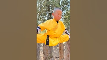 Thumbnail of Shaolin monk Training #kungfu #shaolinmonks #martialarts #wushu #shaolinkungfu #shaolintemple