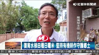 1060816 復育水梯田種日曬米 堅持有機耕作守護鄉土