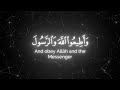 واتقوا النار التي أعدت للكافرين   بصوت  القارئ محمد اللحيدان  