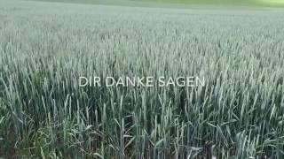 Video thumbnail of "Danke für alles | Amelie Himmelreich (Official Lyrik Video) [2017]"