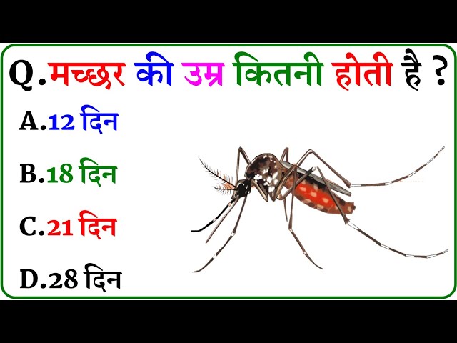 GK Question || GK In Hindi || GK Question and Answer || GK Quiz ||