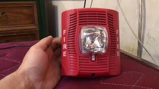 REVIEW OF THE SYSTEM SENSOR SPSR SPEAKER STROBE AND A TEST!
