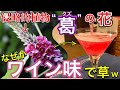 【河川敷から産まれたワイン】