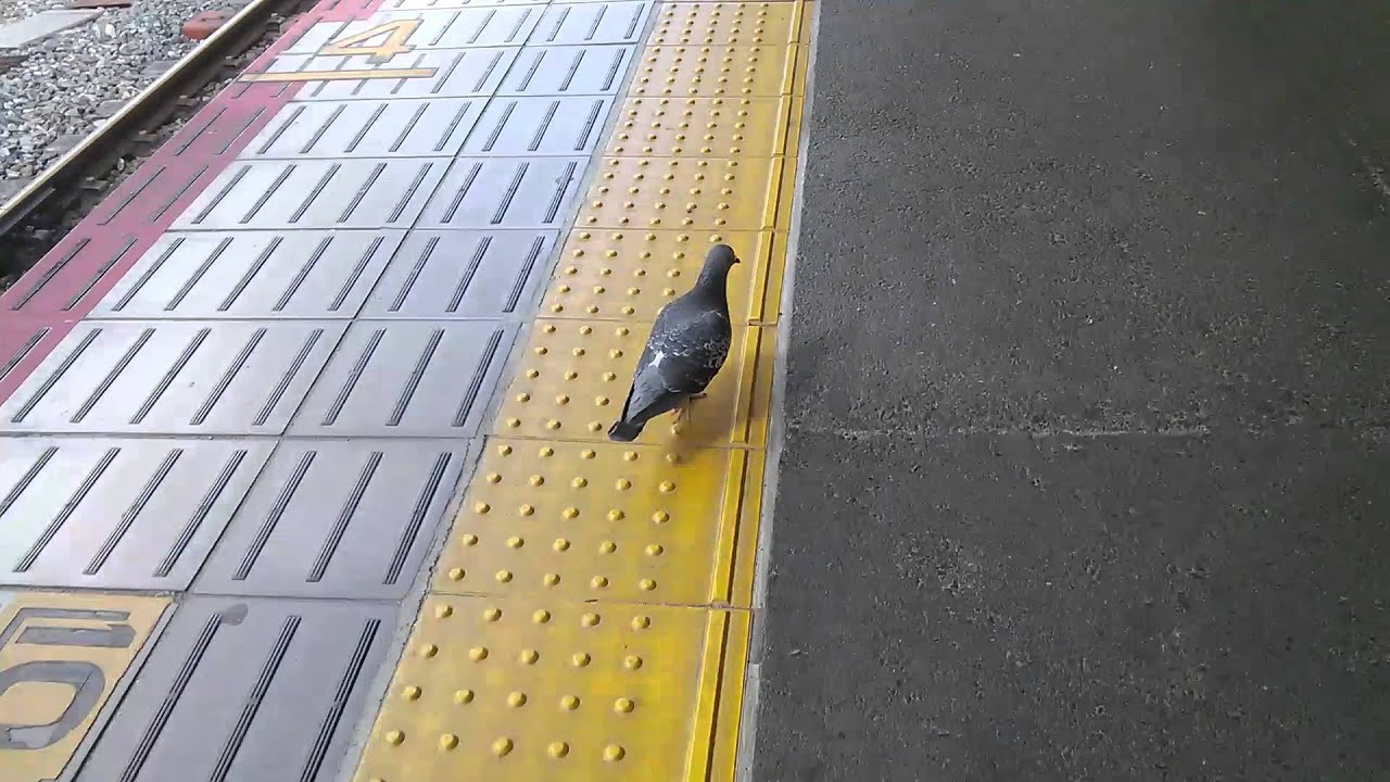 ヌベヂョンヌゾジョンベルミッティスモゲロンボョ ةڼ Youtube ヌベヂョンヌゾジョンベルミッティスモゲロンボョ ةڼ Youtube