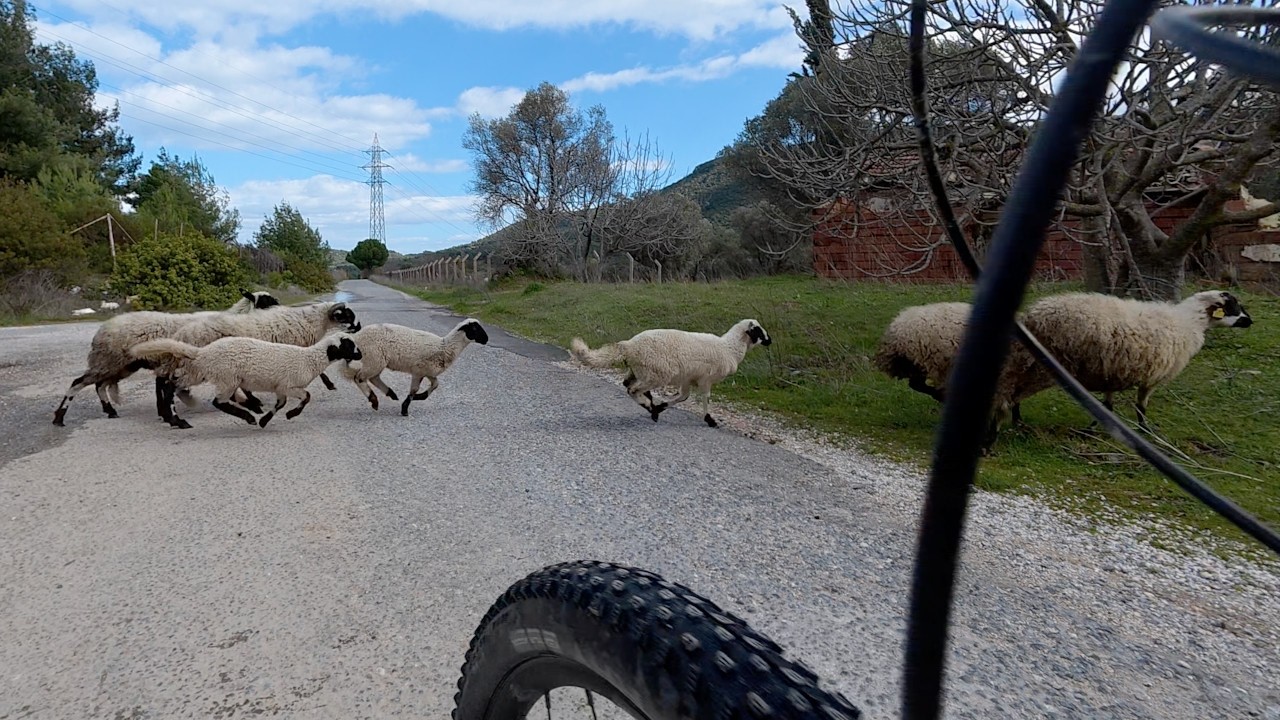 Urla'nın arka yollarında sessiz bir gün