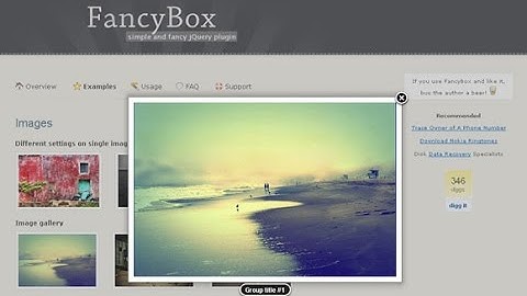 1. Fancybox - обзор скрипта всплывающих окон.
