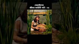 ফেরাউনের বিবি মুসা আ: এর সিন্দুক খুঁজে পেলেন | firon musa nobir kahini part- 6 shorts history