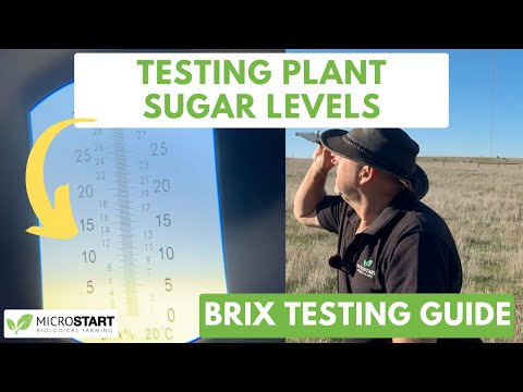 BRIX Testing Guide Easy Way To Test Plant Sugar Levels