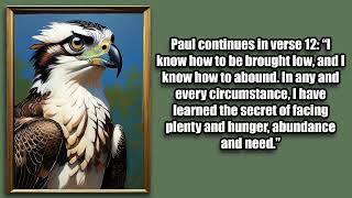 The4 Simple Truth: Lessons From an Osprey