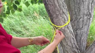 How to tie Halter Hitch survival knot