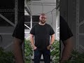Best Cannabis Nutrients for 2023