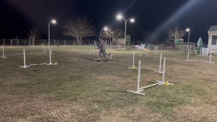 Romeo Novice Jumpers Agate II