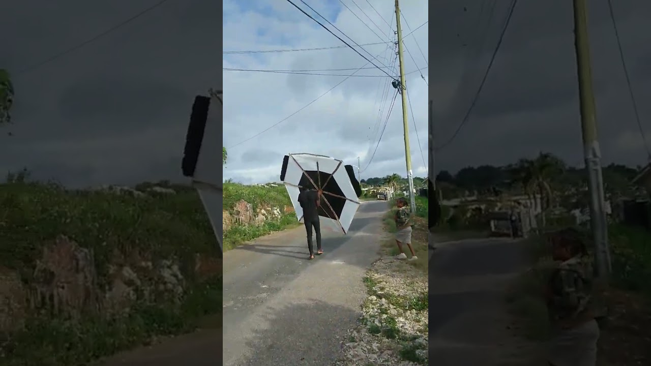 "JUMBO" Kite in Jamaica
