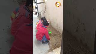 🌿 Gardening Activity 🌿 | Nursery Class | Apna chhota school