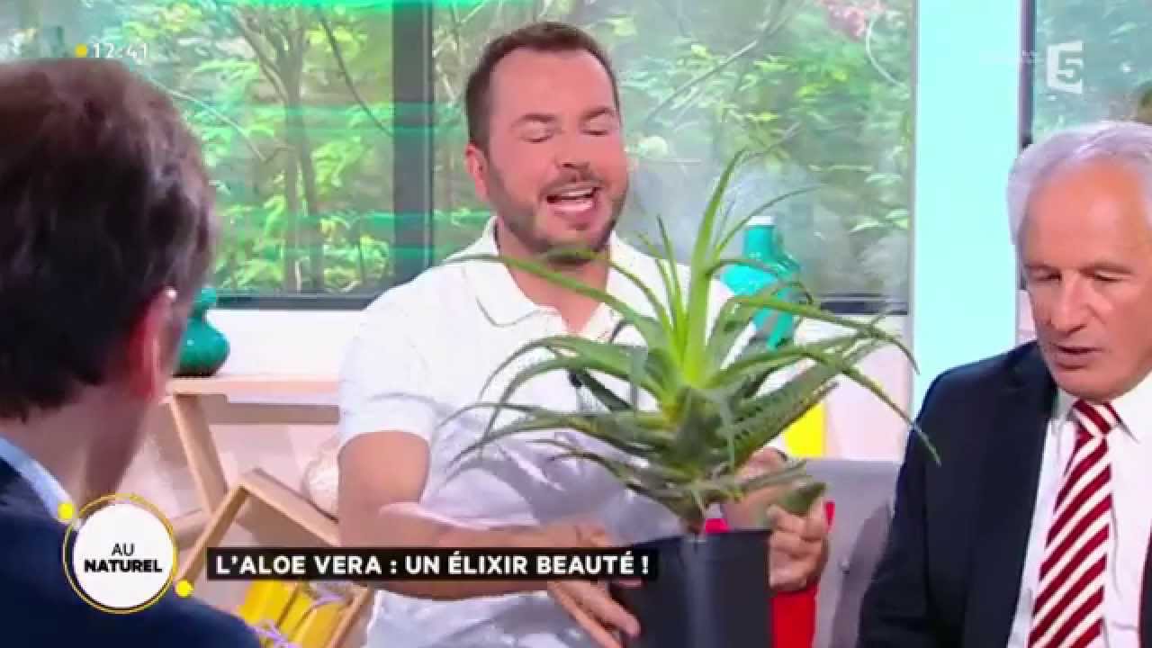 L'aloe vera : un élixir de beauté !