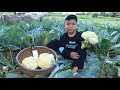 Little boy cooking food, feed chickens/ Cauliflower with shrimps cooking