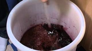 Primary Fermentation