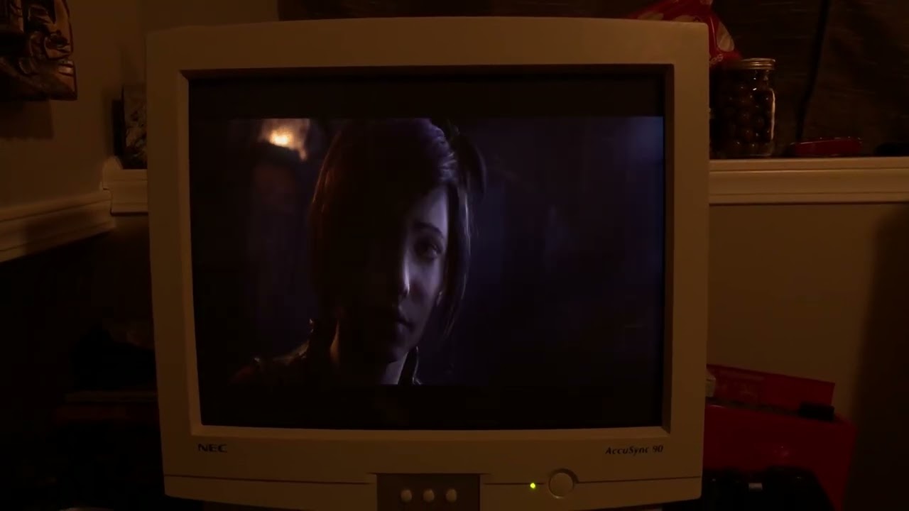NEC AccuSync 90 Crt Monitor