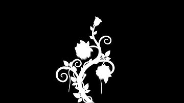 ROSE ALPHA | ROSE ANIMATION | SWIRL | FLOURISH | FLORAL | MOTION GRAPHIC | AFTER EFFECT CC